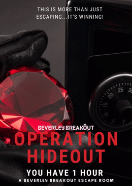 Operation Hideout - Jewel Pursuit 60 minutes