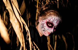 Fields Of Fear