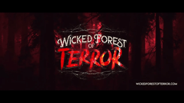 Wicked Forest Of Terror