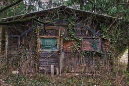 The Shed