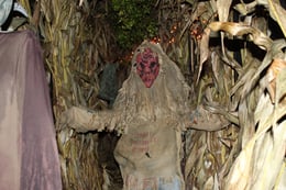 Rosewood's Haunted Maze