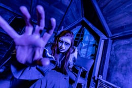 The Attic: Terror of the Towers