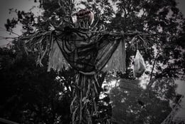 Haunted Trail