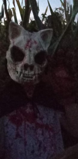Haunted Corn Maze