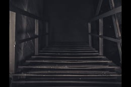 The Cellar