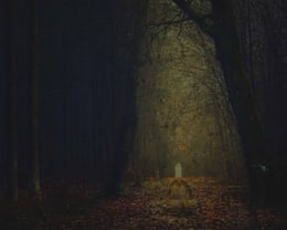 Trail of Terror