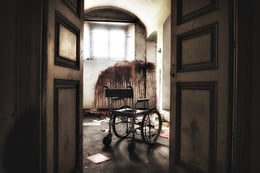 Il Manicomio