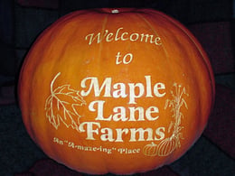 Haunted Corn Maze