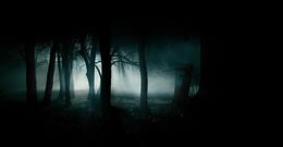 Trail Of Terror