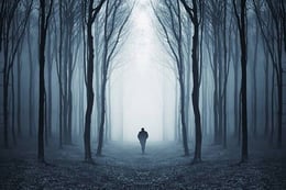 The Forest