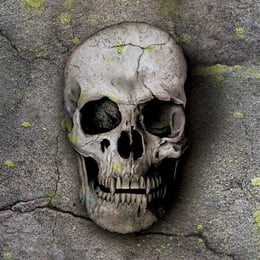 Krypta [Crypt / The Vault]