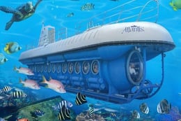 Think Or Swim