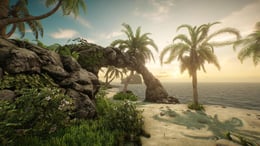 Survival [VR]