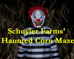 Haunted Corn Maze