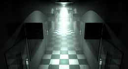 Asylum
