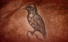 The Menagerie