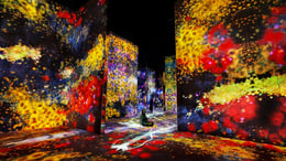 teamLab Borderless [Immersive Art]