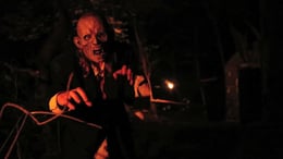 Phobia Manor