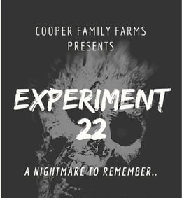 The Experiment 22