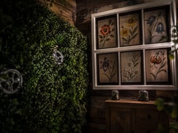 The Secret of The Blooming Garden