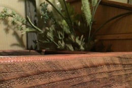 School Of Witchcraft & Wizardry: Herbology