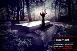 The Testament