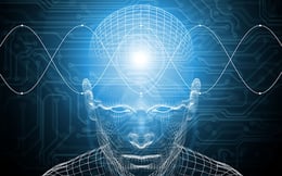 Amnesia Protocol