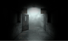 Asylum