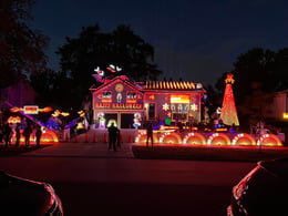 Boxwood Lights Show