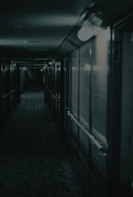 The Grey Ghost Project