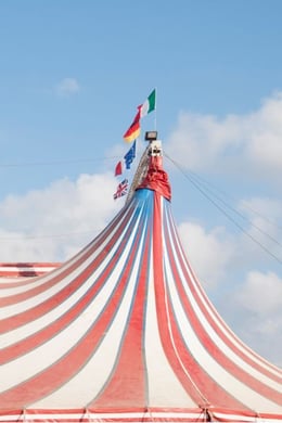 Carnival Crisis