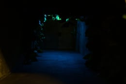 Cień Nietoperza [Bat's Shadows]