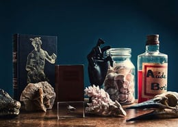 Le Cabinet Des Curiosités
