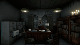 Echoes of the Asylum