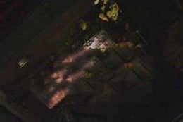 The Lost Cabin: Book of Souls