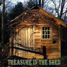 Treasure in the Shed
