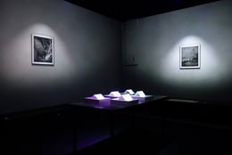 The Memory Room