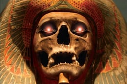 Curse Of The Mummy