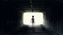 Alien Encounter