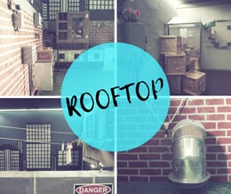 The Rooftop