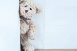 Lost Teddy [Kid's Game]