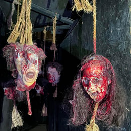 The Damned Scare Tour