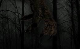 Lidércnyomás [Nightmare]