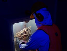 Jurassica