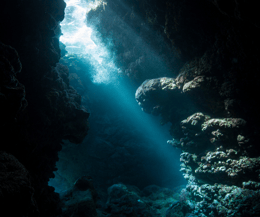 Escape the Grotto