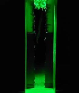Le Reflet de la Folie [The Reflection of Madness]