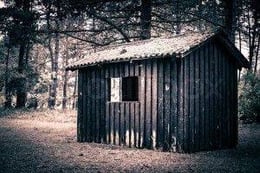 Cabin Fever