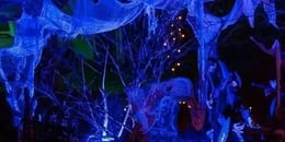 Halloween House Menlo Park