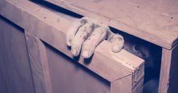 The Cabin Captives: A Desperate Escape