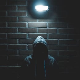 The Vigilante’s Maze